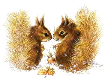 squirrels.gif (67458 bytes)