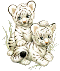 white_tigers.gif (31751 bytes)